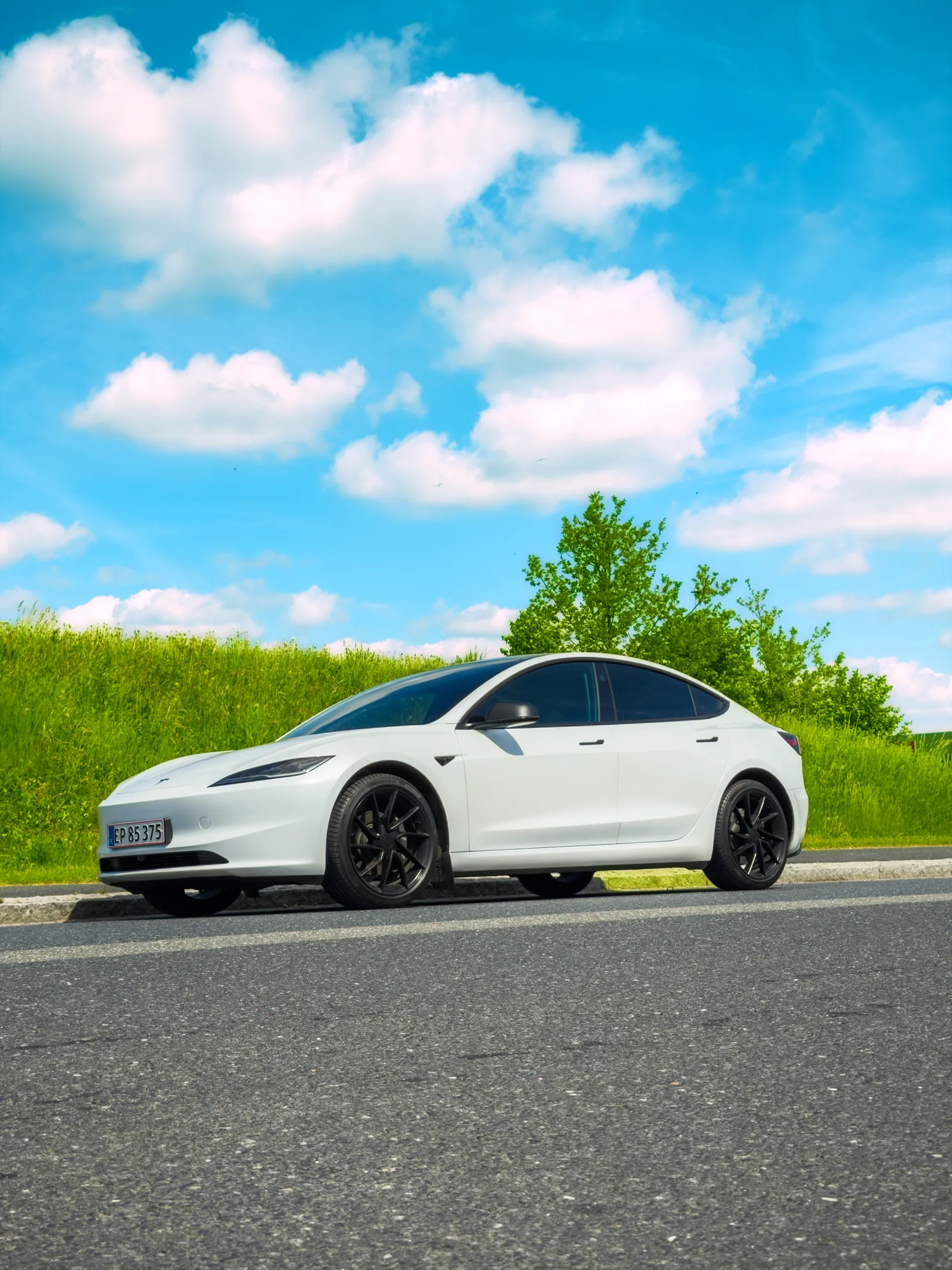 Hvid Tesla foran grøn baggrund